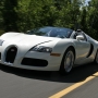 2009-bugatti-veyron-164-grand-sport-photo-442696-s-1280x782